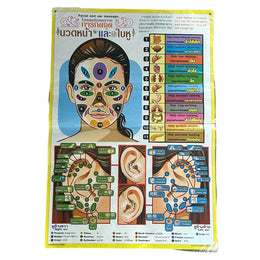 Poster 9 - Thai Face and Ear Reflexology