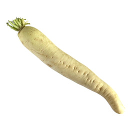 Kinaradise Pr. Stk. (Daikon)