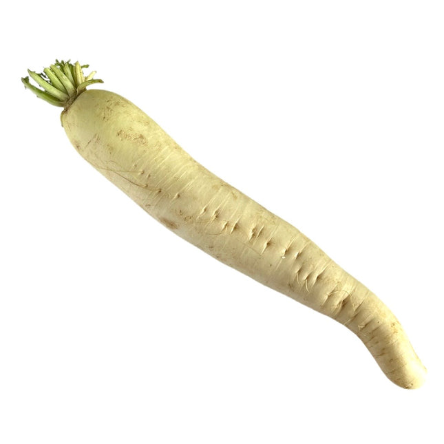 Kinaradise Pr. Stk. (Daikon)