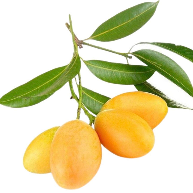 Sweet Plum Mango 500g