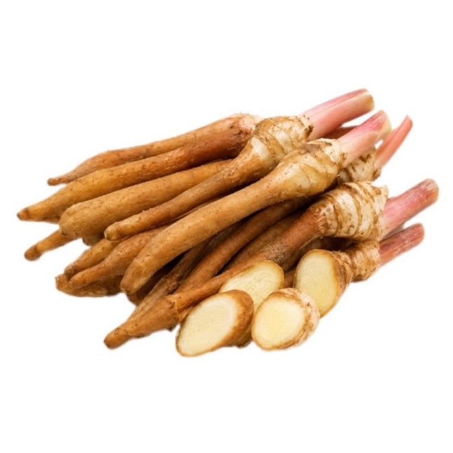 Krachai Rod 100g (Javaingefær)