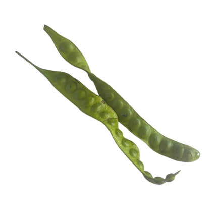 Sator Bønner 200g