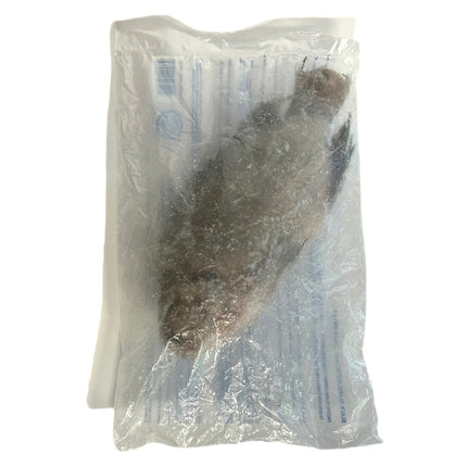 Sort Tilapia 800g+