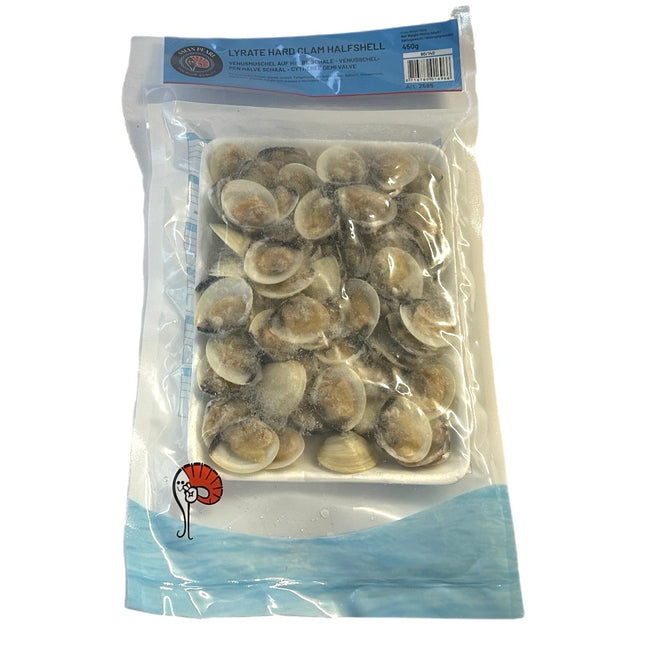 Lyrate Hard Clam Halfshell