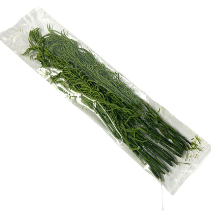 Cha Om Blade 100g