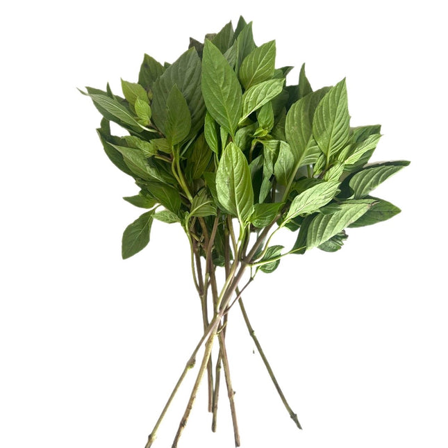 Thai Sød Basilikum 50g