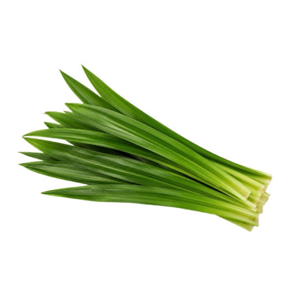 Pandang Blade 100g