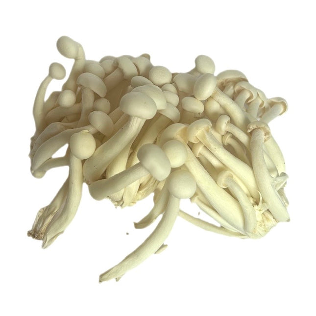 Shimeji Hvid Svampe 150g (Hvide Bøgehatte)