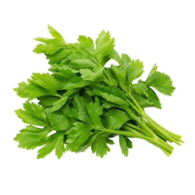 Selleri Blade 100g