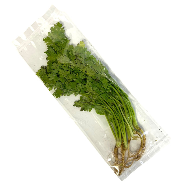 Friske Koriander 50g