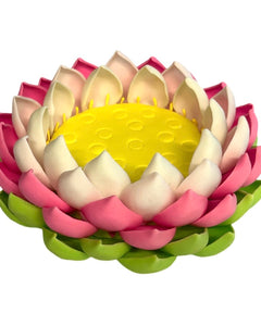 Collection image for: Blomster og pynt