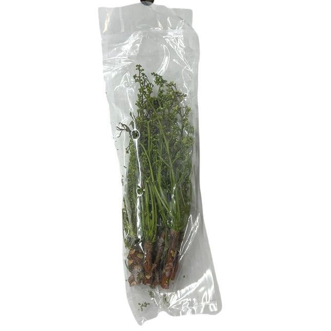 Sadao Blomst 100g