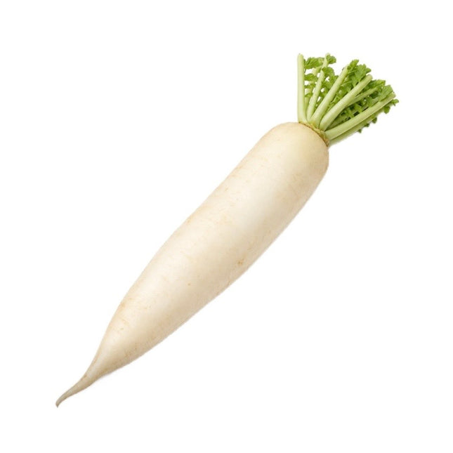 Kinaradise Pr. Stk. (Daikon)