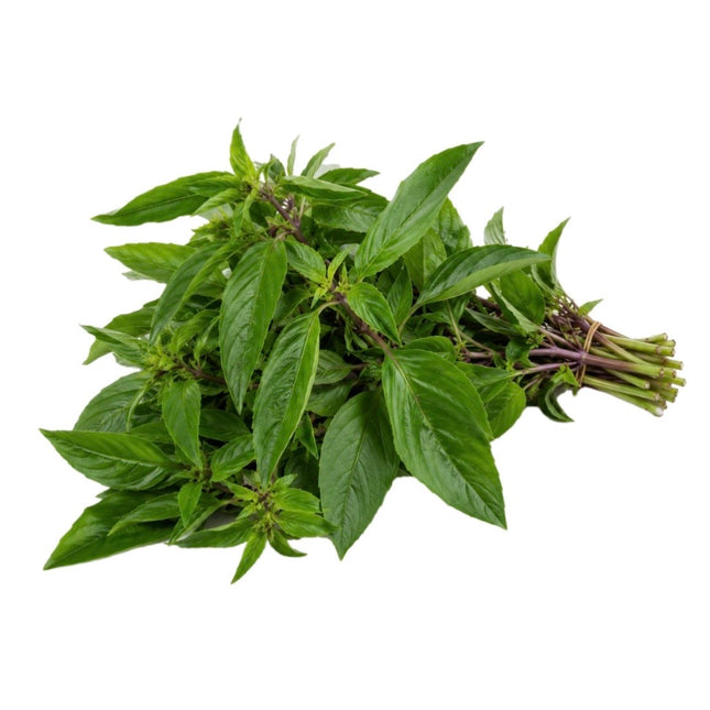 Stærk Thai Basilikum 80g