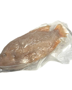 Collection image for: FISH