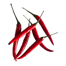Fresh Red Thai Chili 20g (Bird's eye chili)