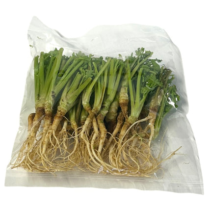 Koriander Rod 100g