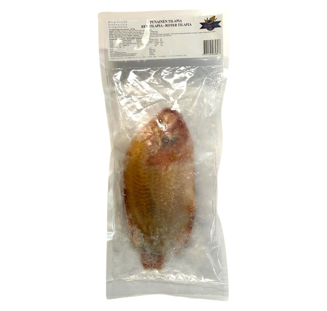 Rød Tilapia 750-950g pr. Kg