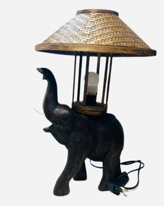 Collection image for: LAMPER
