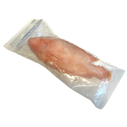 Rød Tilapia Fisk