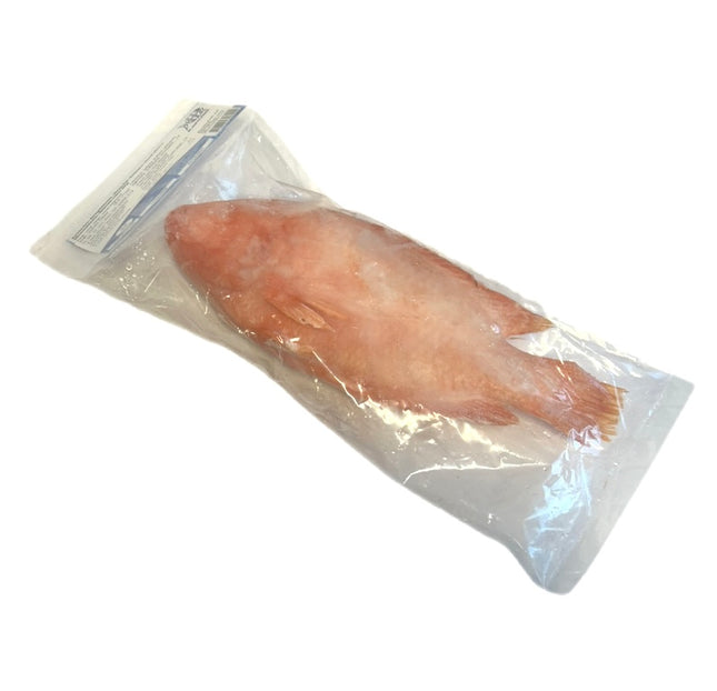 Rød Tilapia Fisk